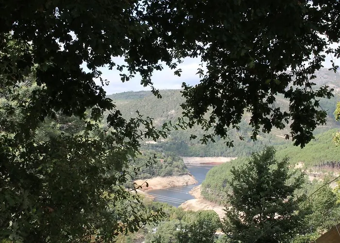 Rural Misarela ג'רס